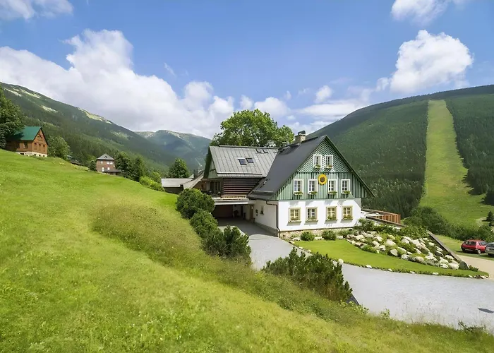 Slunecnice & Panorama Restaurant Farma